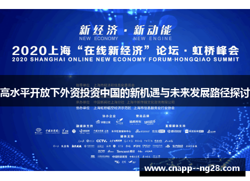 高水平开放下外资投资中国的新机遇与未来发展路径探讨