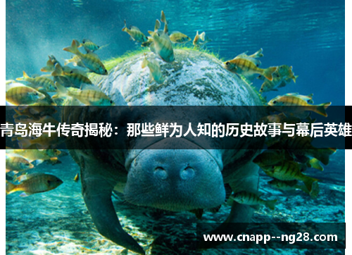 青岛海牛传奇揭秘:那些鲜为人知的历史故事与幕后英雄 青岛海牛传奇揭秘:那些鲜为人知的历史故事与幕后英雄