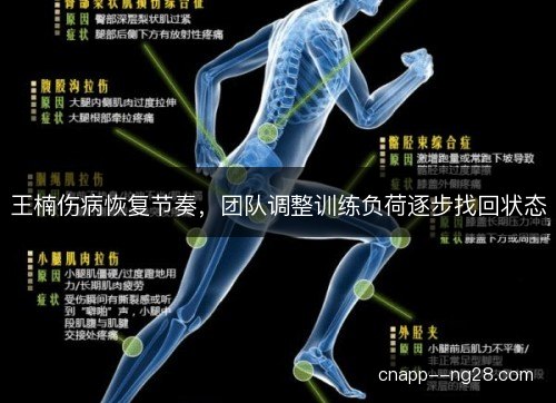 王楠伤病恢复节奏，团队调整训练负荷逐步找回状态